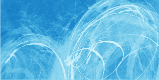 widget image